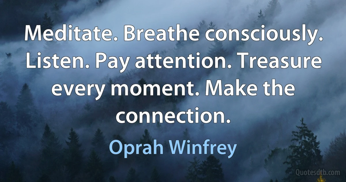 Meditate. Breathe consciously. Listen. Pay attention. Treasure every moment. Make the connection. (Oprah Winfrey)