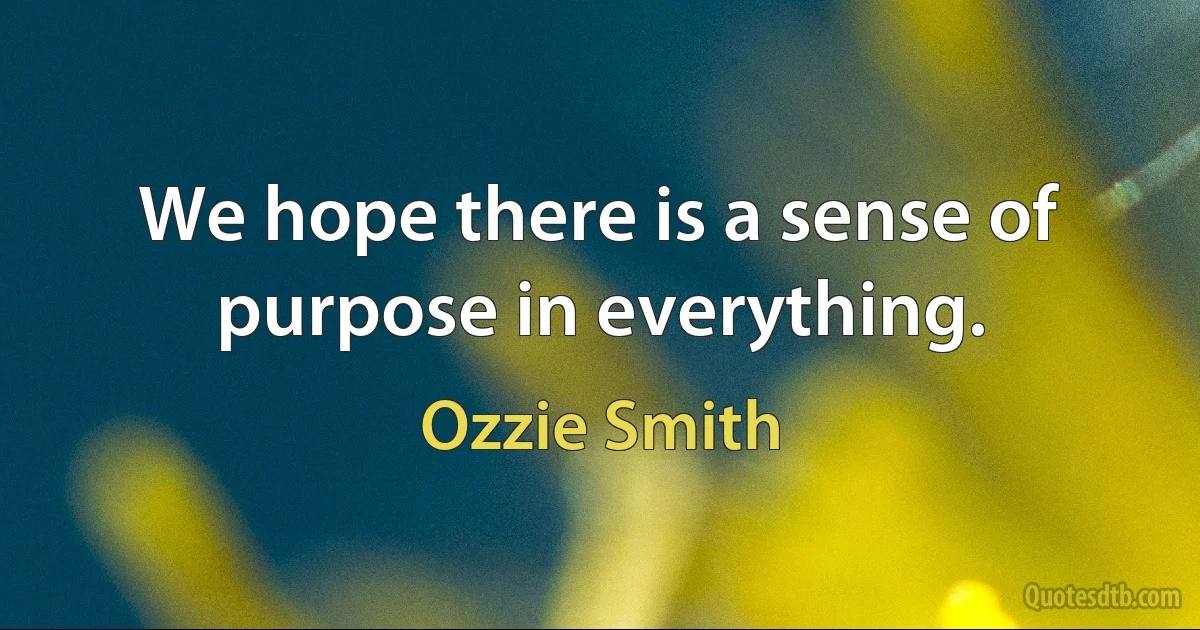 We hope there is a sense of purpose in everything. (Ozzie Smith)