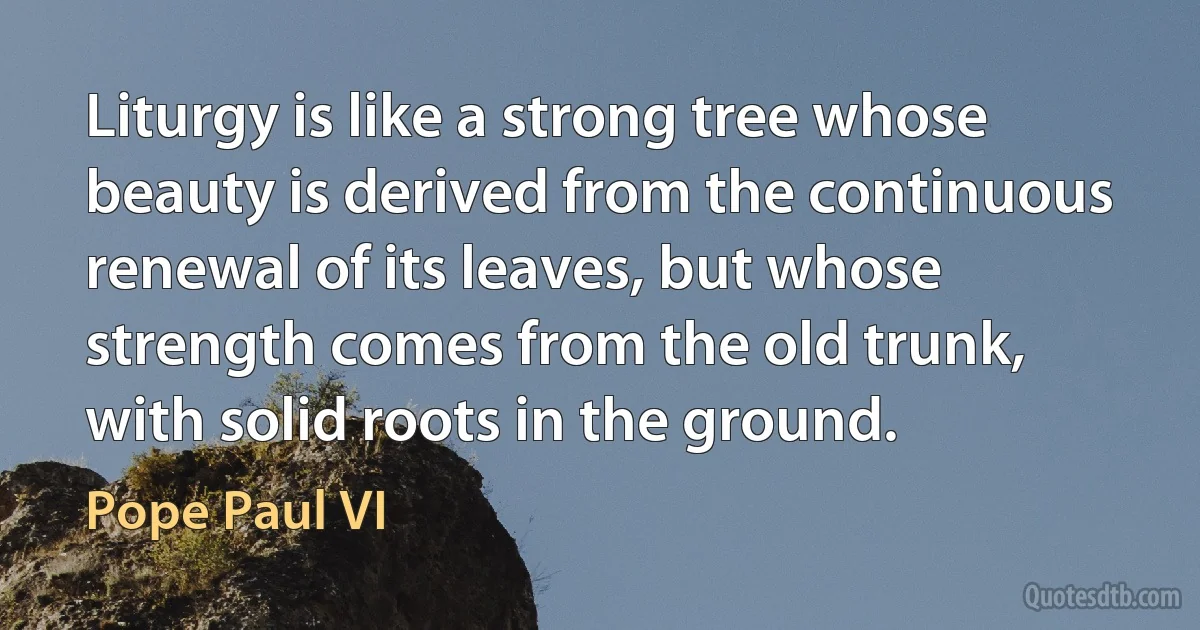 Liturgy is like a strong tree whose beauty is derived from the continuous renewal of its leaves, but whose strength comes from the old trunk, with solid roots in the ground. (Pope Paul VI)