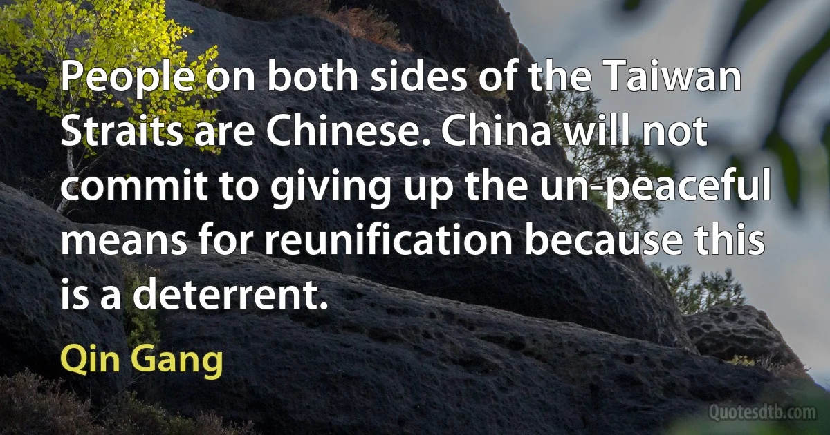 People on both sides of the Taiwan Straits are Chinese. China will not commit to giving up the un-peaceful means for reunification because this is a deterrent. (Qin Gang)