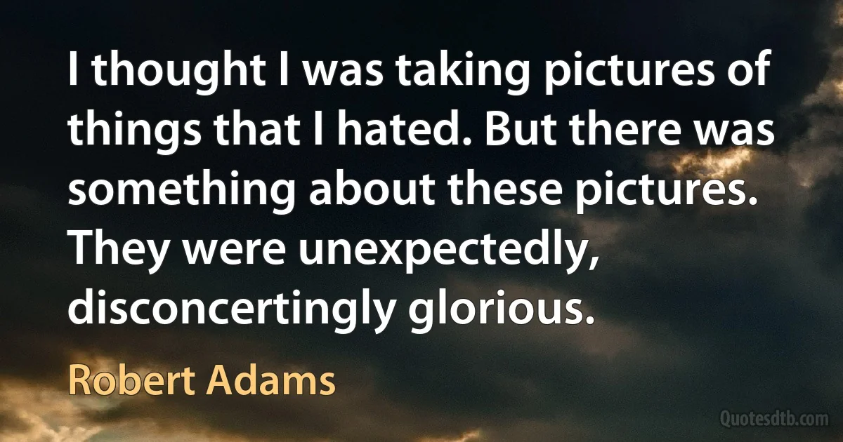 I thought I was taking pictures of things that I hated. But there was something about these pictures. They were unexpectedly, disconcertingly glorious. (Robert Adams)