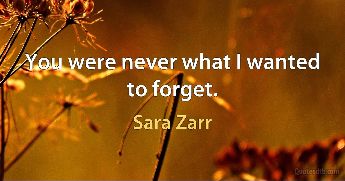 You were never what I wanted to forget. (Sara Zarr)