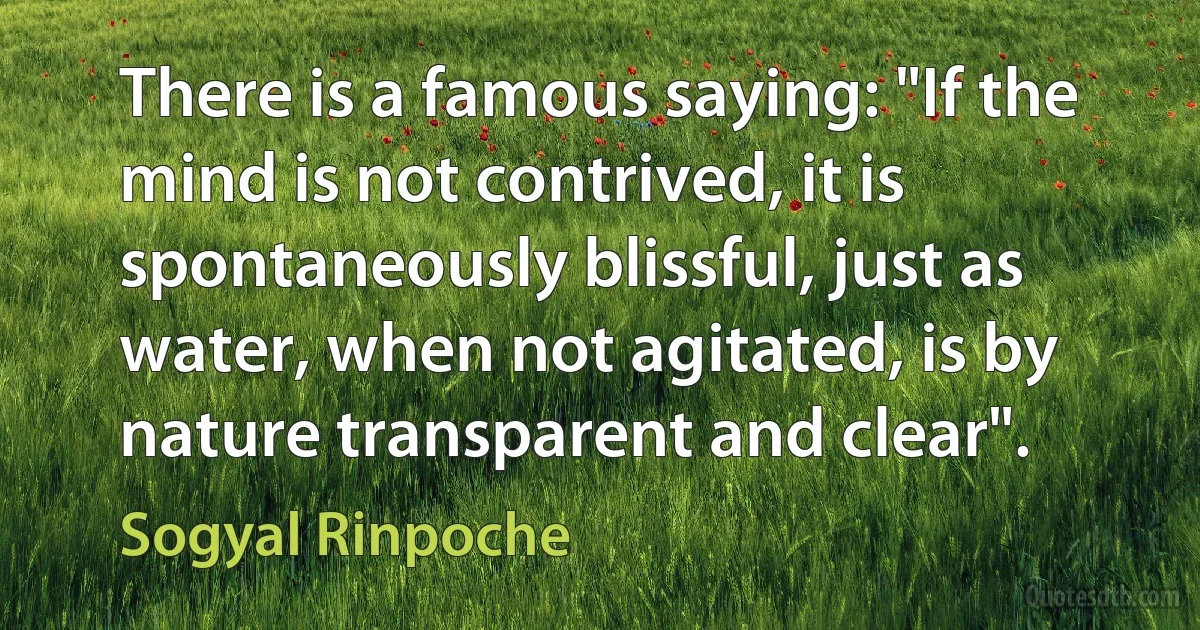 There is a famous saying: "If the mind is not contrived, it is spontaneously blissful, just as water, when not agitated, is by nature transparent and clear". (Sogyal Rinpoche)