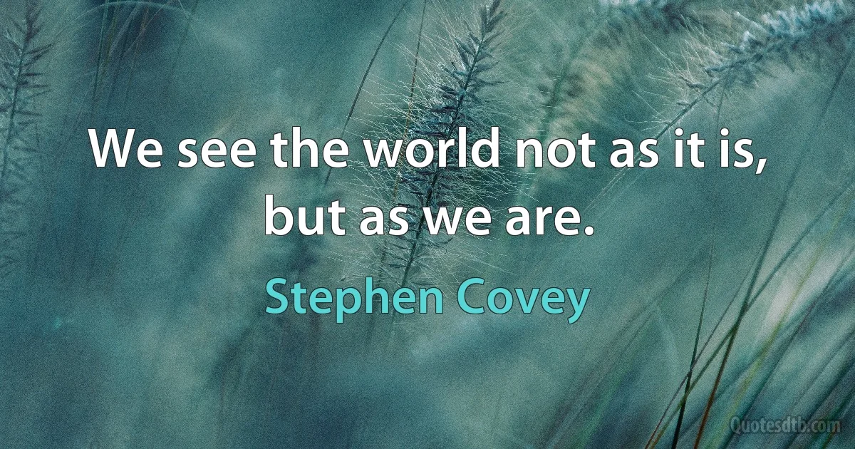 We see the world not as it is, but as we are. (Stephen Covey)