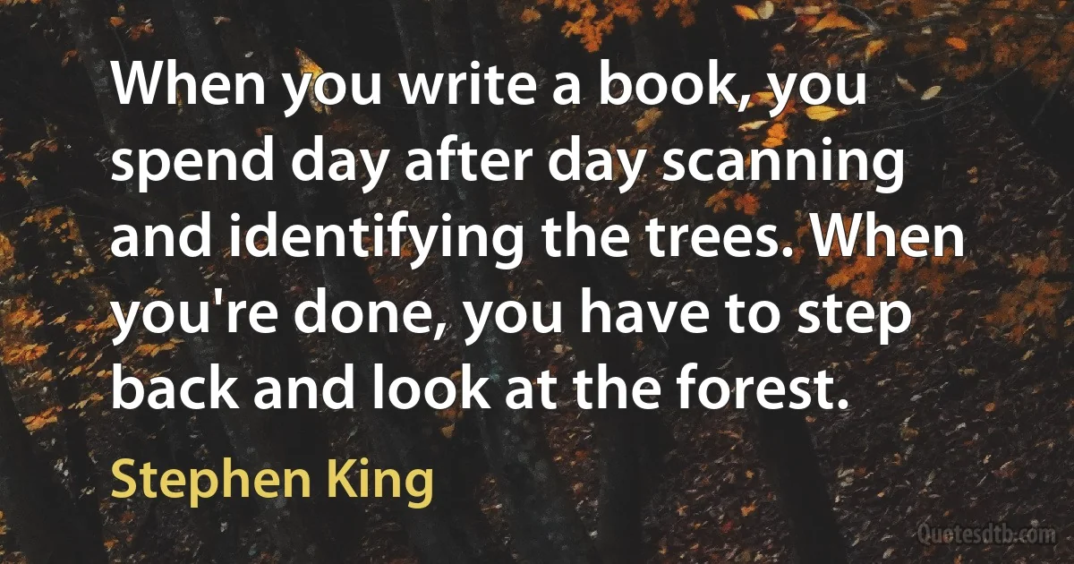 When you write a book, you spend day after day scanning and identifying the trees. When you're done, you have to step back and look at the forest. (Stephen King)