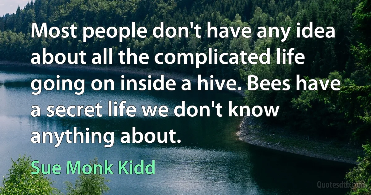 Most people don't have any idea about all the complicated life going on inside a hive. Bees have a secret life we don't know anything about. (Sue Monk Kidd)