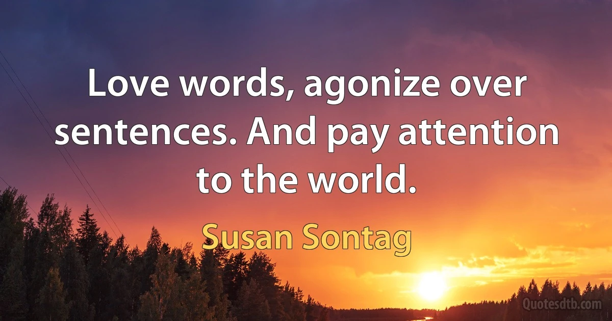 Love words, agonize over sentences. And pay attention to the world. (Susan Sontag)