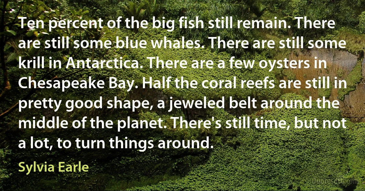 Ten percent of the big fish still remain. There are still some blue whales. There are still some krill in Antarctica. There are a few oysters in Chesapeake Bay. Half the coral reefs are still in pretty good shape, a jeweled belt around the middle of the planet. There's still time, but not a lot, to turn things around. (Sylvia Earle)