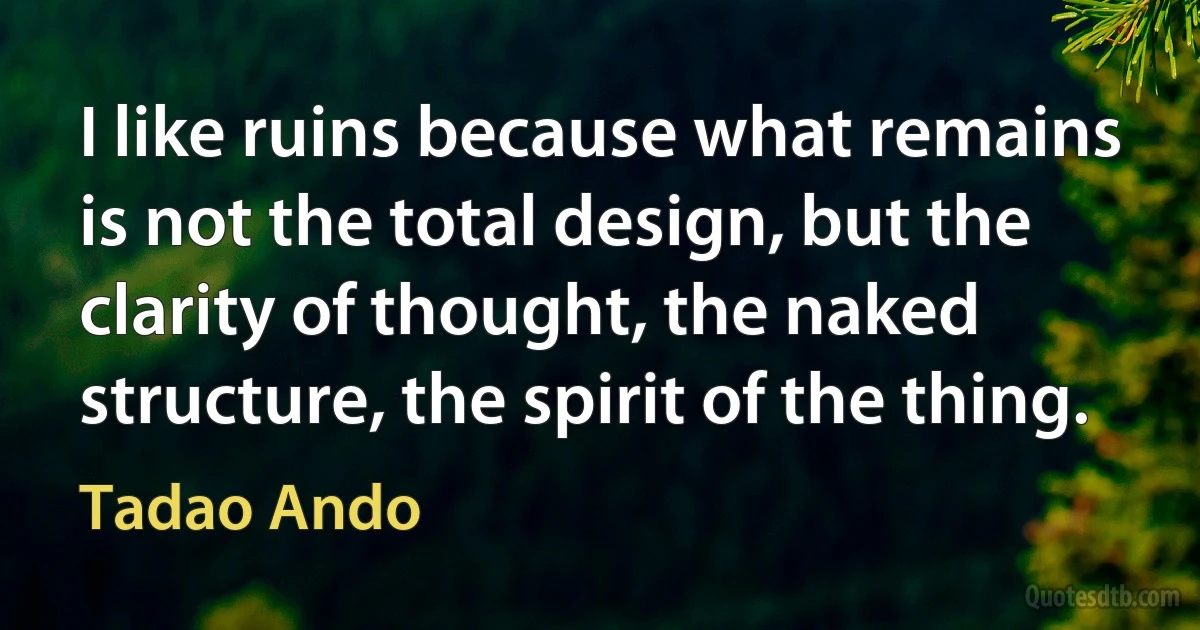 I like ruins because what remains is not the total design, but the clarity of thought, the naked structure, the spirit of the thing. (Tadao Ando)