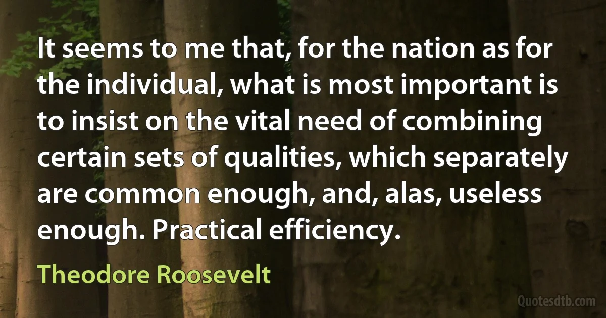 It seems to me that, for the nation as for the individual, what is most important is to insist on the vital need of combining certain sets of qualities, which separately are common enough, and, alas, useless enough. Practical efficiency. (Theodore Roosevelt)