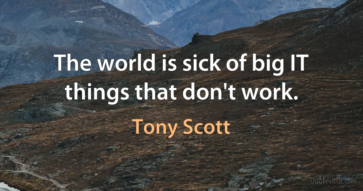 The world is sick of big IT things that don't work. (Tony Scott)