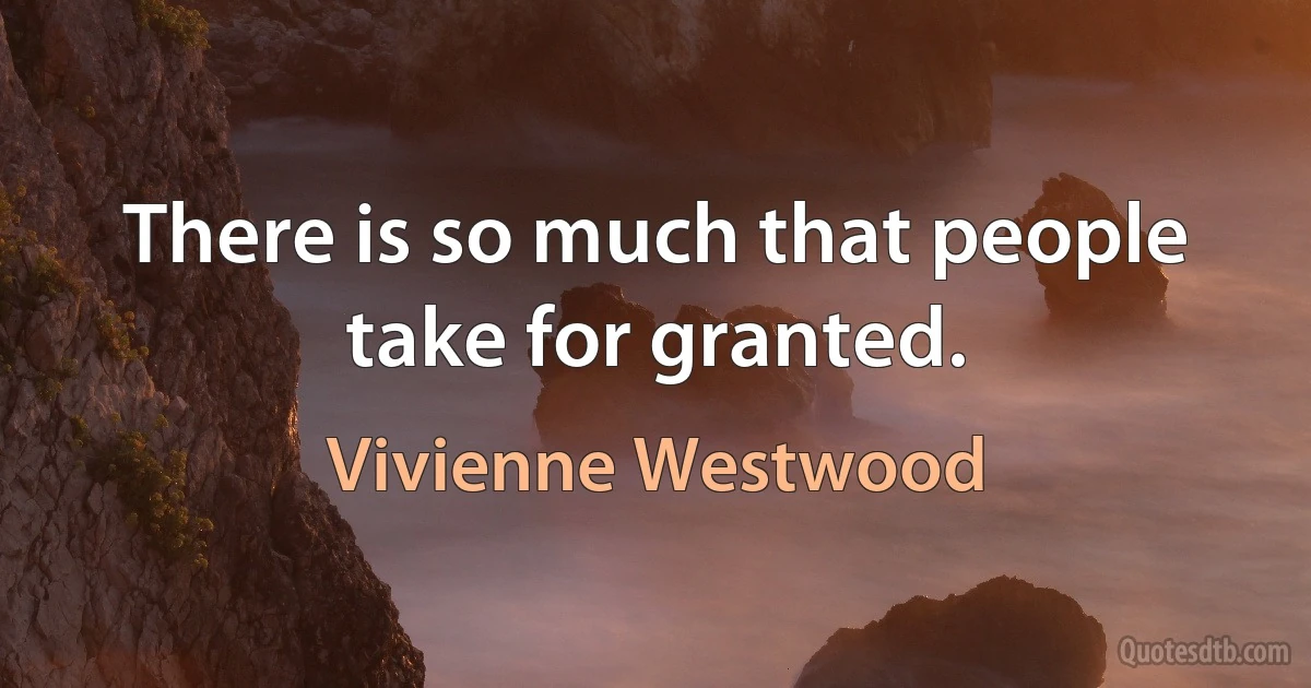 There is so much that people take for granted. (Vivienne Westwood)