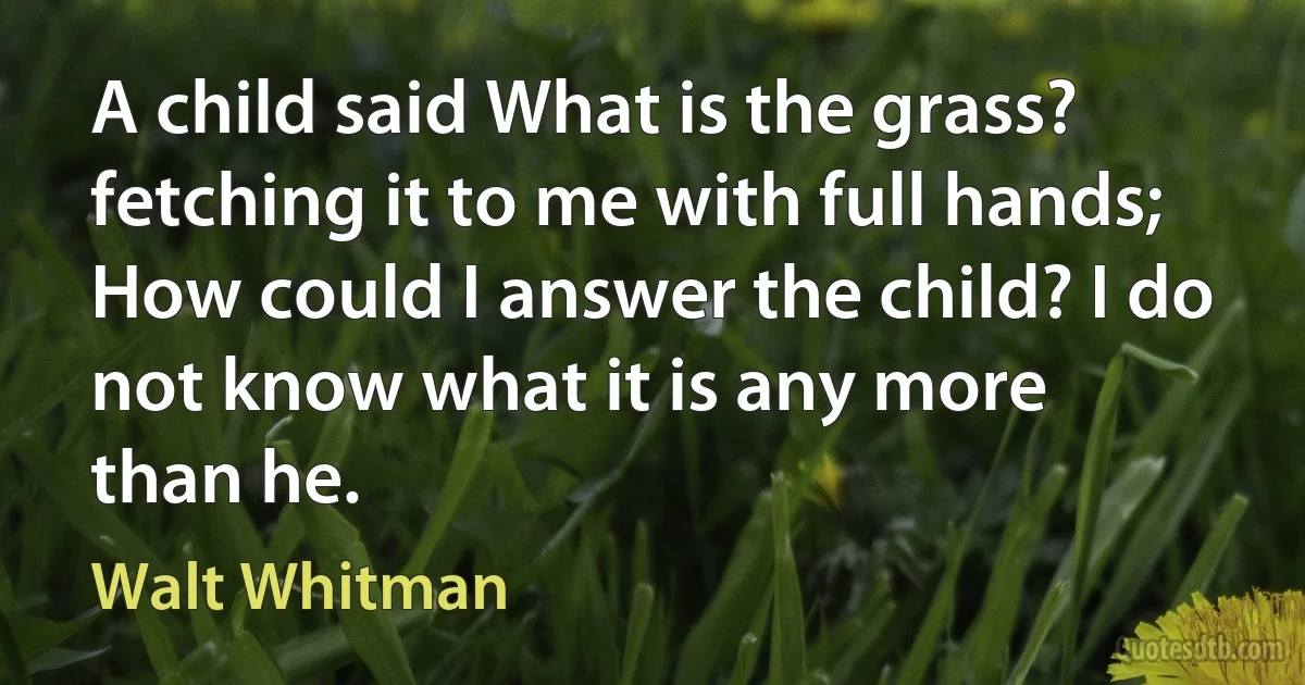 A child said What is the grass? fetching it to me with full hands;
How could I answer the child? I do not know what it is any more
than he. (Walt Whitman)