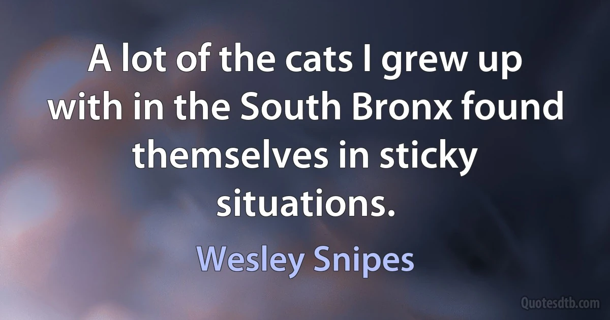 A lot of the cats I grew up with in the South Bronx found themselves in sticky situations. (Wesley Snipes)