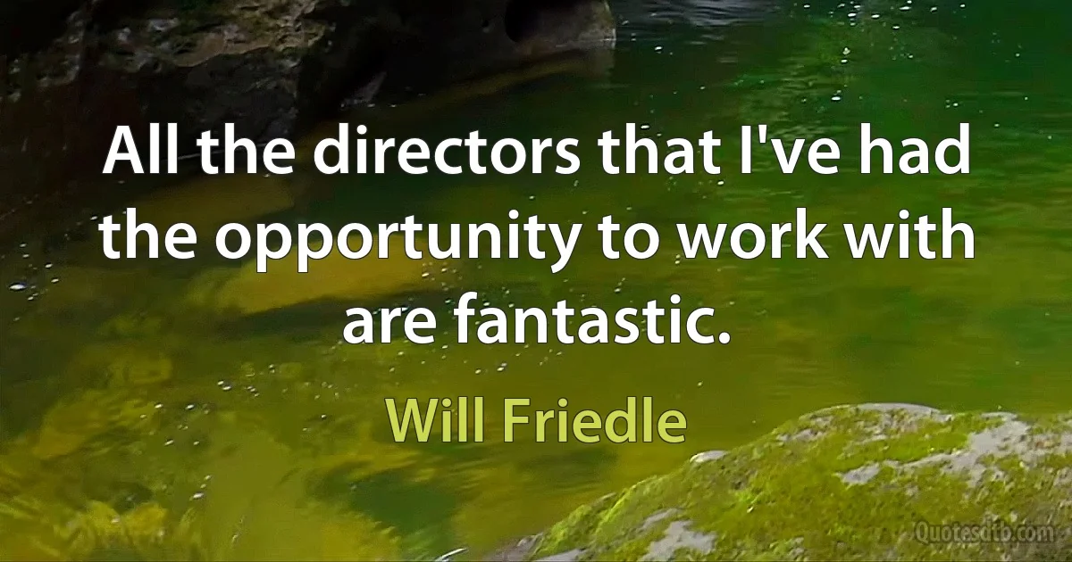 All the directors that I've had the opportunity to work with are fantastic. (Will Friedle)