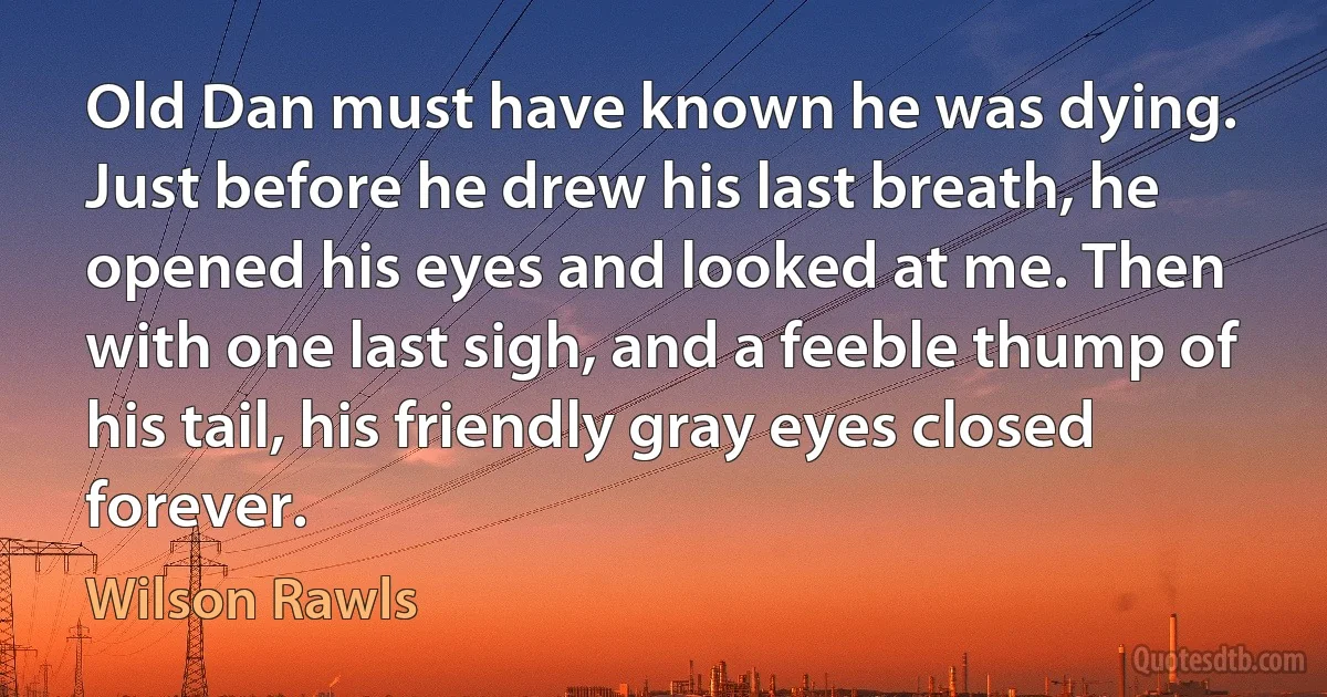 Old Dan must have known he was dying. Just before he drew his last breath, he opened his eyes and looked at me. Then with one last sigh, and a feeble thump of his tail, his friendly gray eyes closed forever. (Wilson Rawls)