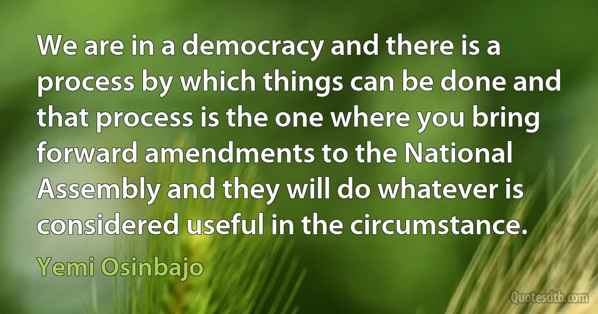 We are in a democracy and there is a process by which things can be done and that process is the one where you bring forward amendments to the National Assembly and they will do whatever is considered useful in the circumstance. (Yemi Osinbajo)