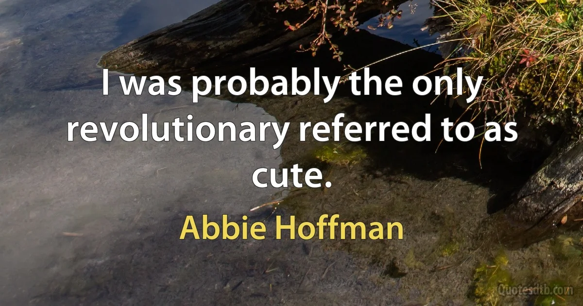 I was probably the only revolutionary referred to as cute. (Abbie Hoffman)