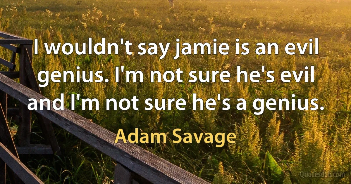 I wouldn't say jamie is an evil genius. I'm not sure he's evil and I'm not sure he's a genius. (Adam Savage)