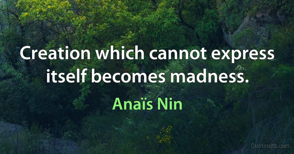 Creation which cannot express itself becomes madness. (Anaïs Nin)