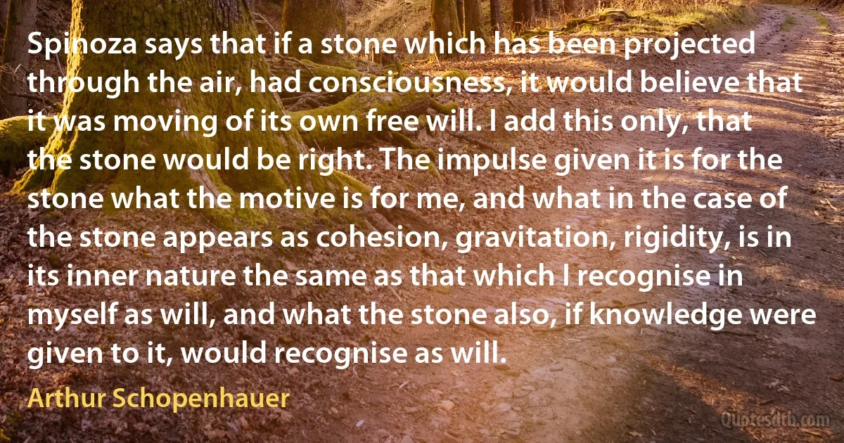 Spinoza says that if a stone which has been projected through the air, had consciousness, it would believe that it was moving of its own free will. I add this only, that the stone would be right. The impulse given it is for the stone what the motive is for me, and what in the case of the stone appears as cohesion, gravitation, rigidity, is in its inner nature the same as that which I recognise in myself as will, and what the stone also, if knowledge were given to it, would recognise as will. (Arthur Schopenhauer)