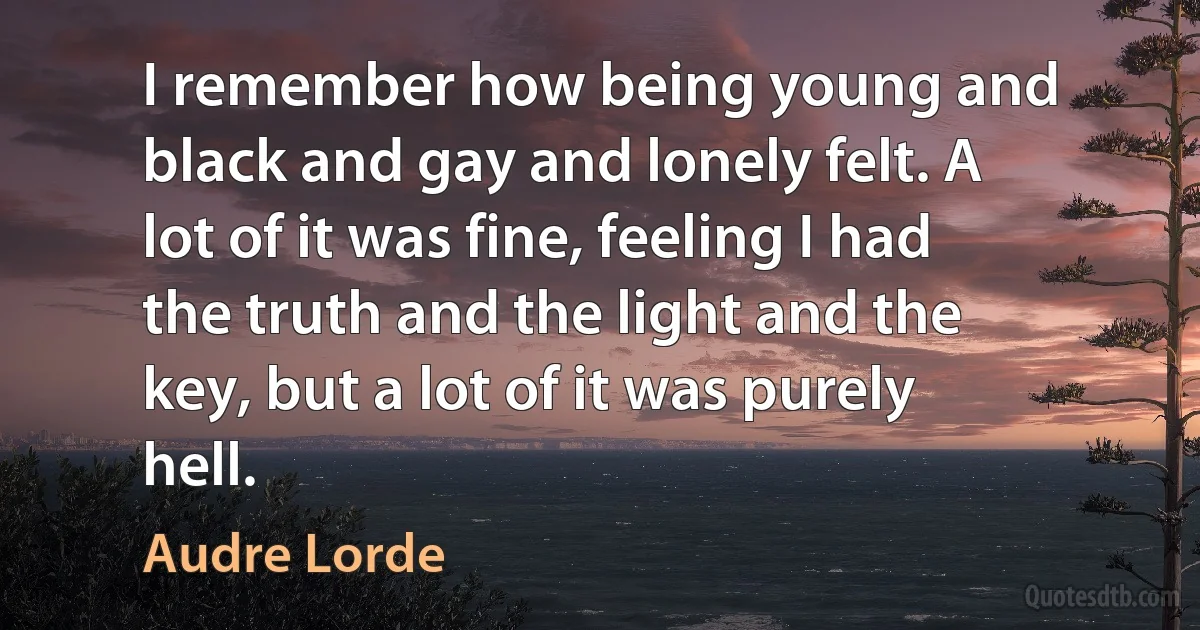 I remember how being young and black and gay and lonely felt. A lot of it was fine, feeling I had the truth and the light and the key, but a lot of it was purely hell. (Audre Lorde)