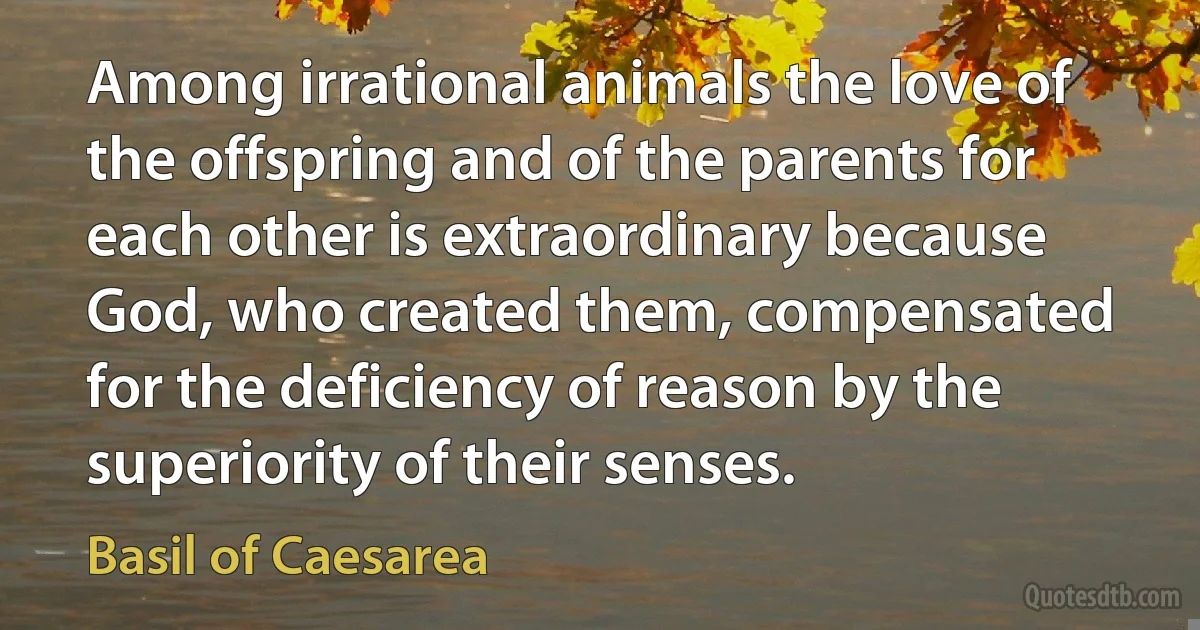 Among irrational animals the love of the offspring and of the parents for each other is extraordinary because God, who created them, compensated for the deficiency of reason by the superiority of their senses. (Basil of Caesarea)