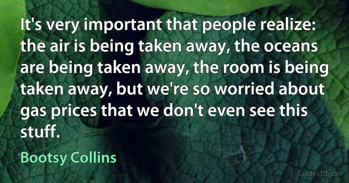 It's very important that people realize: the air is being taken away, the oceans are being taken away, the room is being taken away, but we're so worried about gas prices that we don't even see this stuff. (Bootsy Collins)