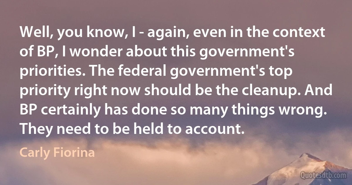 Well, you know, I - again, even in the context of BP, I wonder about this government's priorities. The federal government's top priority right now should be the cleanup. And BP certainly has done so many things wrong. They need to be held to account. (Carly Fiorina)