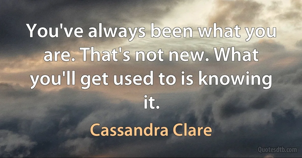 You've always been what you are. That's not new. What you'll get used to is knowing it. (Cassandra Clare)