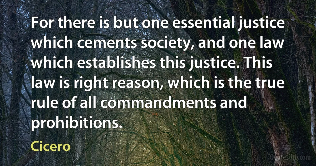 For there is but one essential justice which cements society, and one law which establishes this justice. This law is right reason, which is the true rule of all commandments and prohibitions. (Cicero)