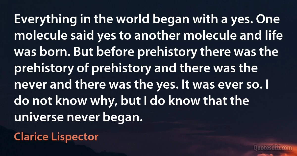 Everything in the world began with a yes. One molecule said yes to another molecule and life was born. But before prehistory there was the prehistory of prehistory and there was the never and there was the yes. It was ever so. I do not know why, but I do know that the universe never began. (Clarice Lispector)