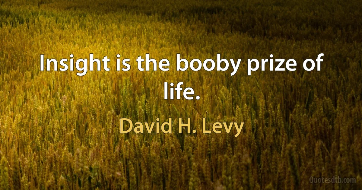 Insight is the booby prize of life. (David H. Levy)