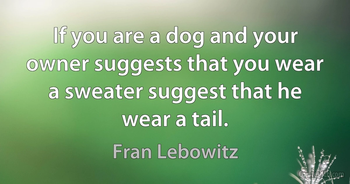 If you are a dog and your owner suggests that you wear a sweater suggest that he wear a tail. (Fran Lebowitz)