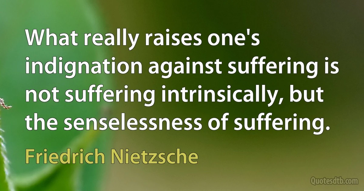 What really raises one's indignation against suffering is not suffering intrinsically, but the senselessness of suffering. (Friedrich Nietzsche)