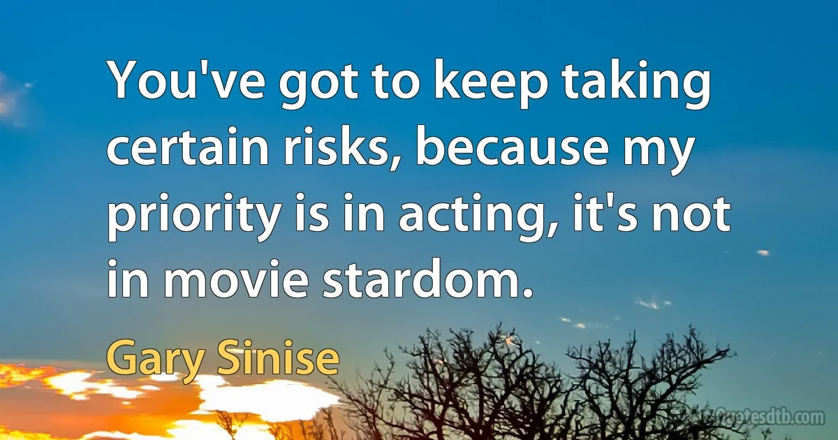 You've got to keep taking certain risks, because my priority is in acting, it's not in movie stardom. (Gary Sinise)