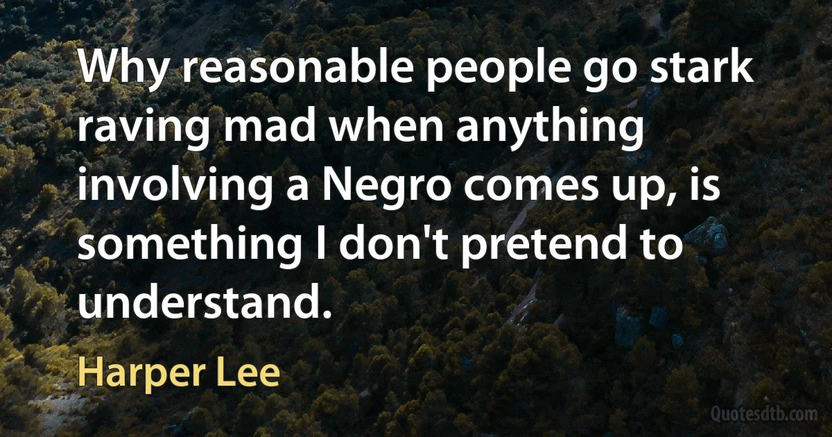 Why reasonable people go stark raving mad when anything involving a Negro comes up, is something I don't pretend to understand. (Harper Lee)