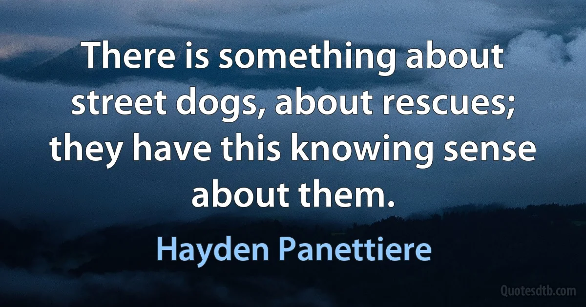 There is something about street dogs, about rescues; they have this knowing sense about them. (Hayden Panettiere)