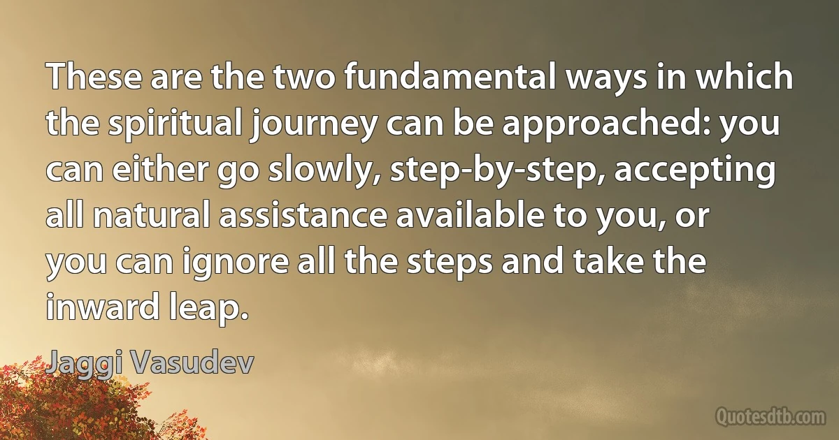 These are the two fundamental ways in which the spiritual journey can be approached: you can either go slowly, step-by-step, accepting all natural assistance available to you, or you can ignore all the steps and take the inward leap. (Jaggi Vasudev)