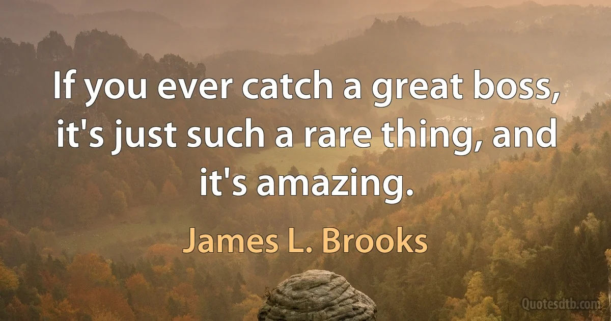 If you ever catch a great boss, it's just such a rare thing, and it's amazing. (James L. Brooks)