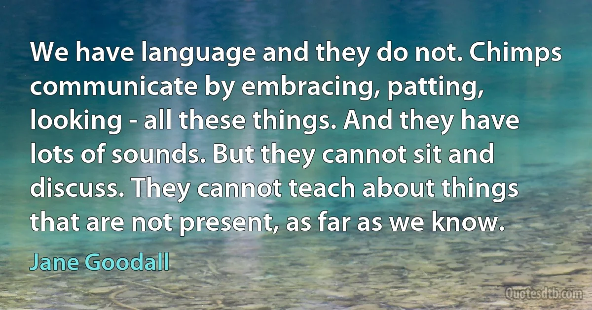 We have language and they do not. Chimps communicate by embracing, patting, looking - all these things. And they have lots of sounds. But they cannot sit and discuss. They cannot teach about things that are not present, as far as we know. (Jane Goodall)