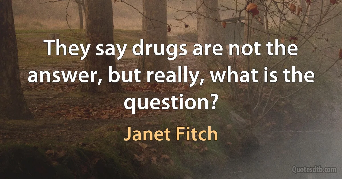 They say drugs are not the answer, but really, what is the question? (Janet Fitch)