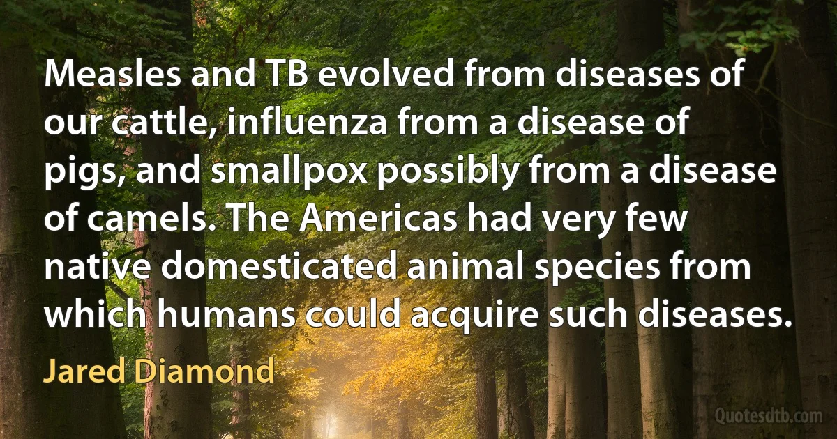 Measles and TB evolved from diseases of our cattle, influenza from a disease of pigs, and smallpox possibly from a disease of camels. The Americas had very few native domesticated animal species from which humans could acquire such diseases. (Jared Diamond)