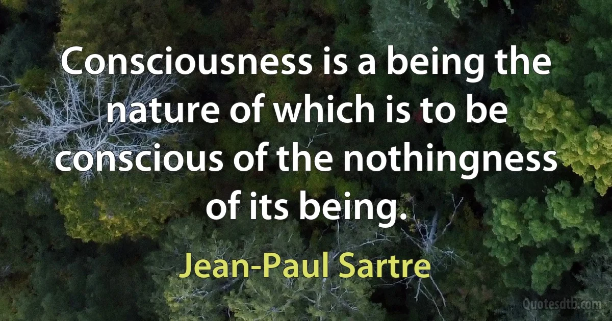 Consciousness is a being the nature of which is to be conscious of the nothingness of its being. (Jean-Paul Sartre)