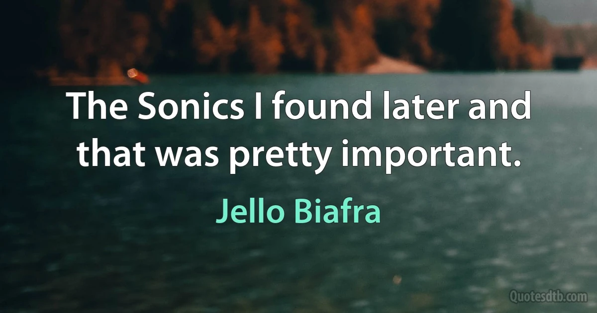 The Sonics I found later and that was pretty important. (Jello Biafra)