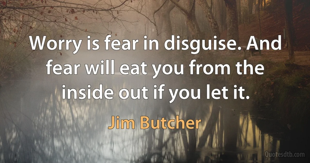 Worry is fear in disguise. And fear will eat you from the inside out if you let it. (Jim Butcher)