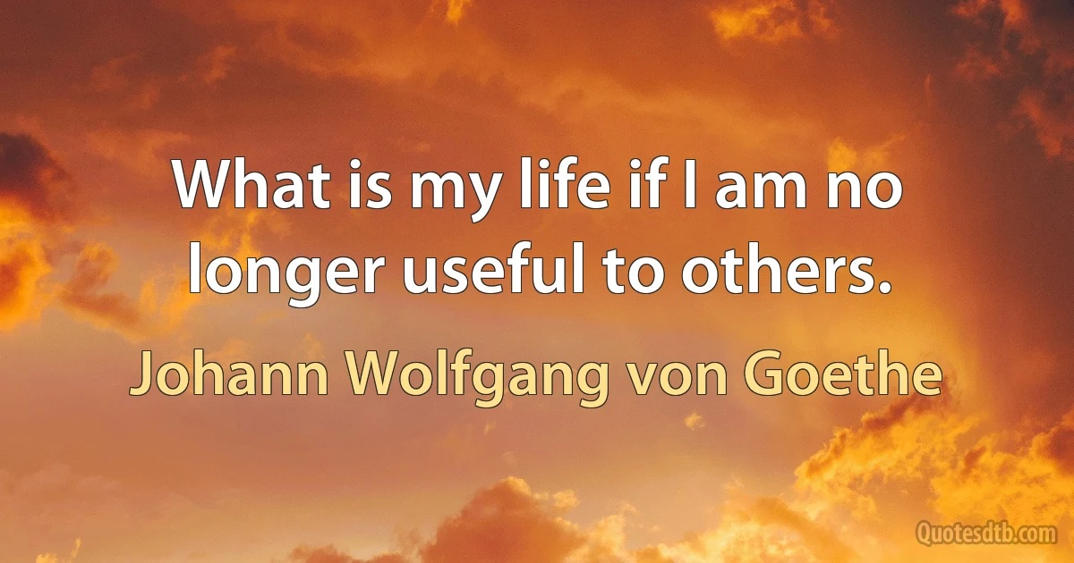 What is my life if I am no longer useful to others. (Johann Wolfgang von Goethe)