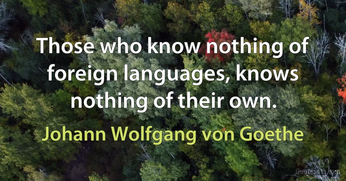 Those who know nothing of foreign languages, knows nothing of their own. (Johann Wolfgang von Goethe)