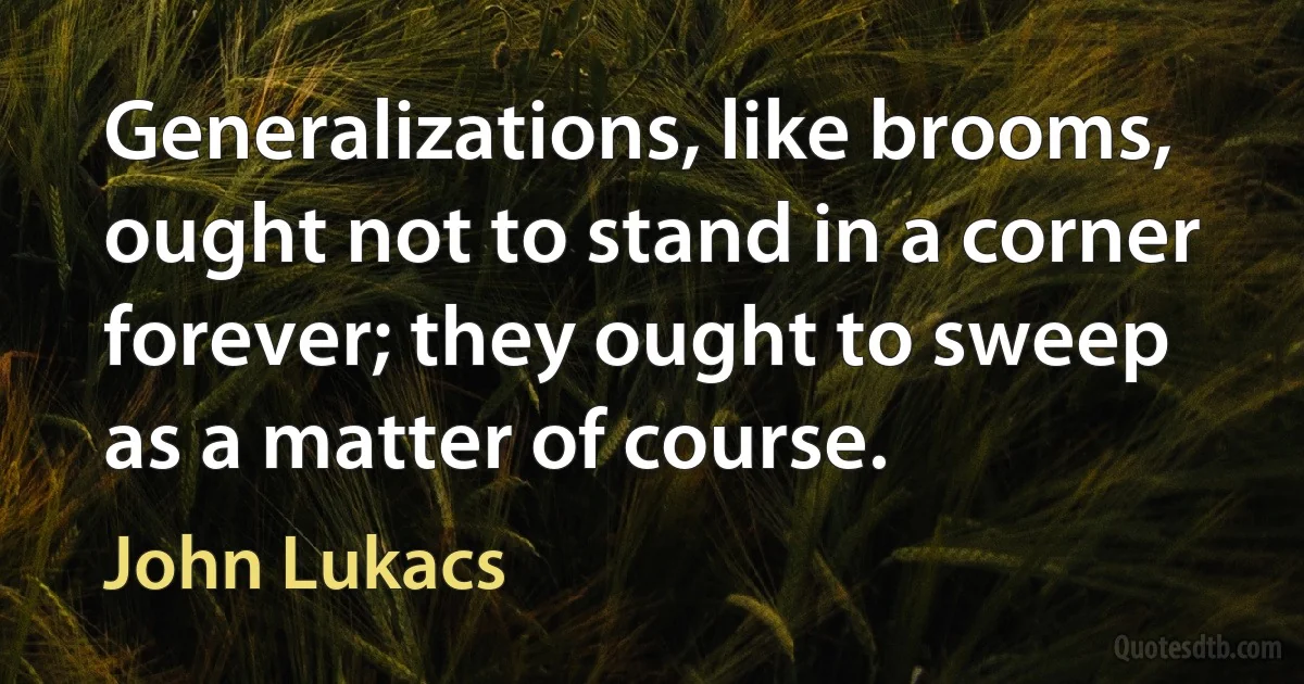 Generalizations, like brooms, ought not to stand in a corner forever; they ought to sweep as a matter of course. (John Lukacs)