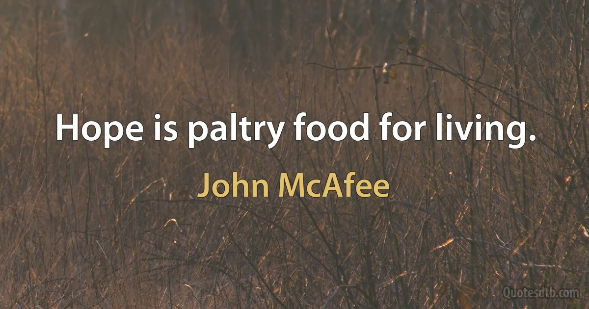 Hope is paltry food for living. (John McAfee)